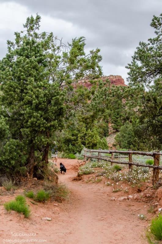 Timber & Tin F 2Bed 2Bath W Pool & Rooftop Deck Kanab Exterior foto