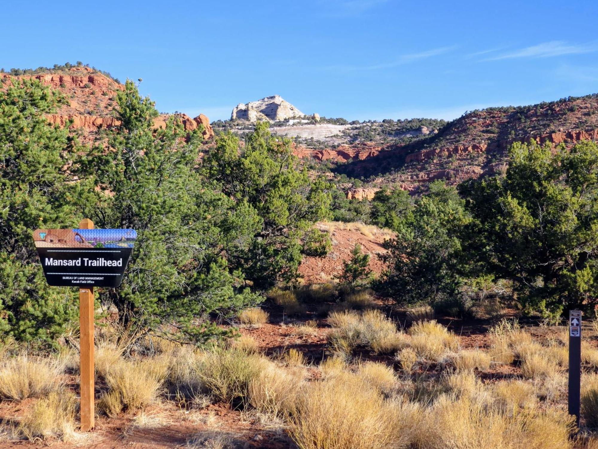 Timber & Tin F 2Bed 2Bath W Pool & Rooftop Deck Kanab Exterior foto